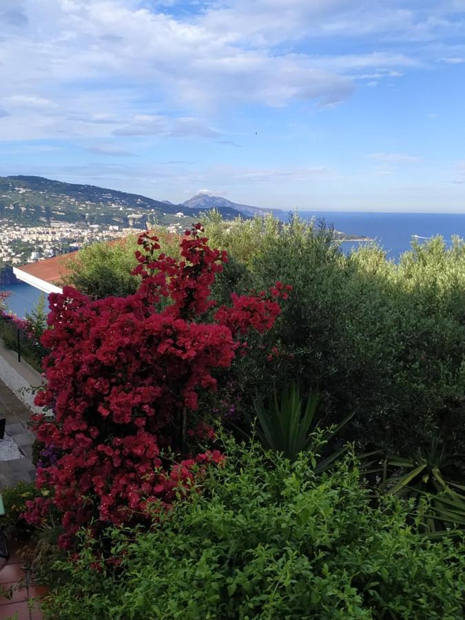 Villa Casa Elianta à Vico Equense Extérieur photo